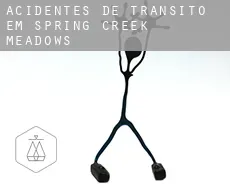 Acidentes de trânsito em  Spring Creek Meadows