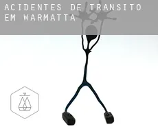 Acidentes de trânsito em Warmatta
