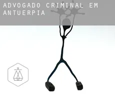 Advogado criminal em  Antuérpia