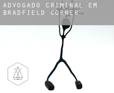 Advogado criminal em  Bradfield Corner