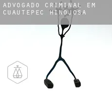 Advogado criminal em  Cuautepec de Hinojosa