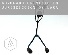Advogado criminal em  Jurisdicción de Lara
