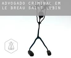 Advogado criminal em  Le Bréau-Saint-Lubin