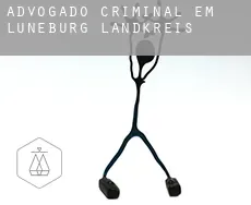 Advogado criminal em  Lüneburg Landkreis