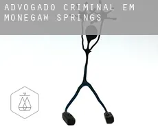 Advogado criminal em  Monegaw Springs