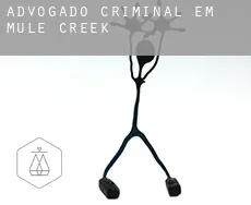 Advogado criminal em  Mule Creek