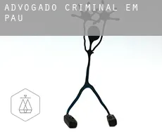 Advogado criminal em  Pau