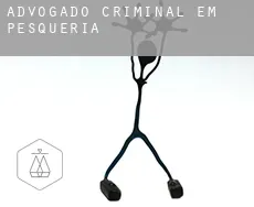 Advogado criminal em Pesqueria