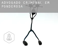 Advogado criminal em  Ponderosa