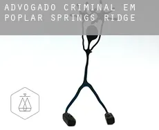 Advogado criminal em  Poplar Springs Ridge