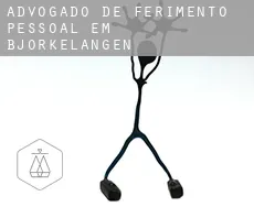 Advogado de ferimento pessoal em  Bjørkelangen