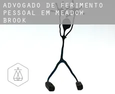 Advogado de ferimento pessoal em  Meadow Brook