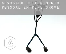 Advogado de ferimento pessoal em  Pine Grove