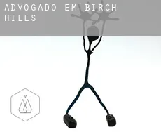 Advogado em  Birch Hills