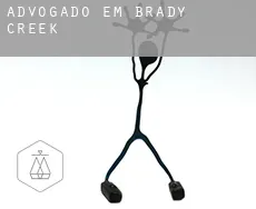 Advogado em  Brady Creek