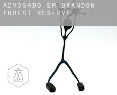 Advogado em  Brandon Forest Reserve