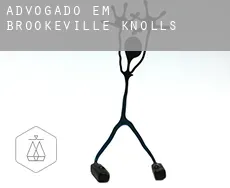 Advogado em  Brookeville Knolls
