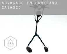 Advogado em  Camerano Casasco
