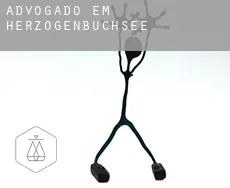 Advogado em Herzogenbuchsee