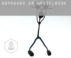 Advogado em  Nettelrede