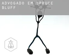 Advogado em  Spruce Bluff