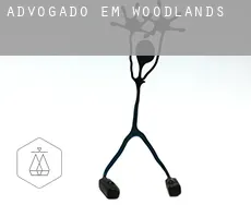 Advogado em  Woodlands