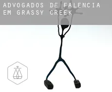 Advogados de falência em  Grassy Creek