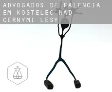 Advogados de falência em  Kostelec nad Černými Lesy