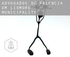 Advogados de falência em  Lismore Municipality
