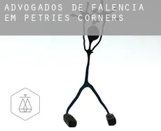 Advogados de falência em  Petries Corners
