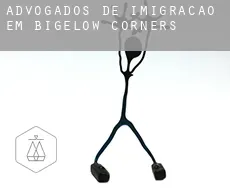 Advogados de imigração em  Bigelow Corners