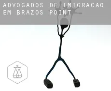 Advogados de imigração em  Brazos Point