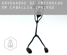 Advogados de imigração em  Caballin Springs
