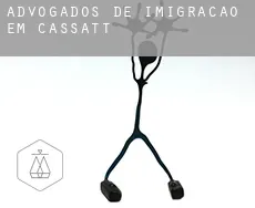 Advogados de imigração em  Cassatt