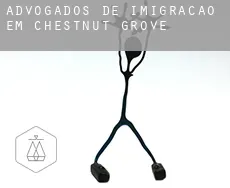 Advogados de imigração em Chestnut Grove