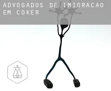 Advogados de imigração em  Coker
