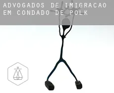 Advogados de imigração em  Condado de Polk