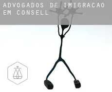 Advogados de imigração em  Consell