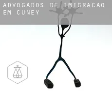 Advogados de imigração em  Cuney
