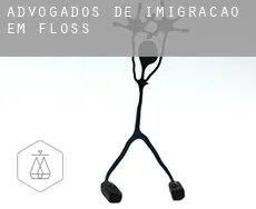 Advogados de imigração em  Floss