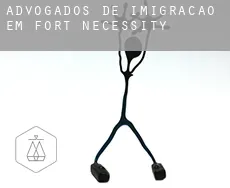 Advogados de imigração em  Fort Necessity