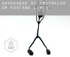 Advogados de imigração em  Fustane Lower