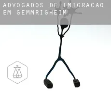 Advogados de imigração em Gemmrigheim