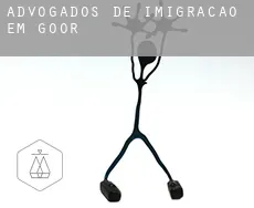Advogados de imigração em  Goor