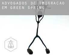 Advogados de imigração em  Green Spring