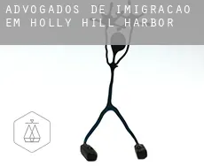 Advogados de imigração em  Holly Hill Harbor