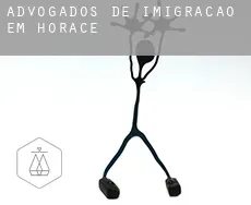 Advogados de imigração em Horace