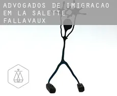 Advogados de imigração em  La Salette-Fallavaux