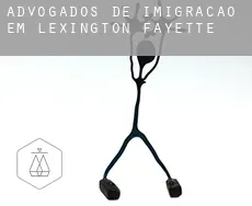 Advogados de imigração em  Lexington-Fayette
