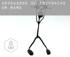 Advogados de imigração em  Mamá